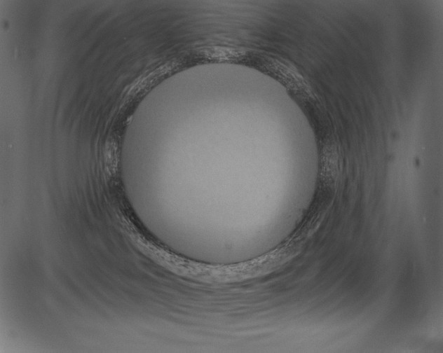 X0000081380043200702020241
