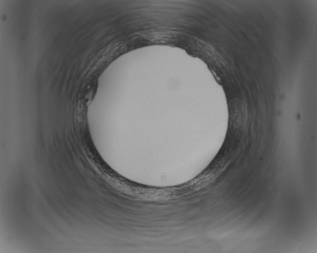 X0000081380044200702020241