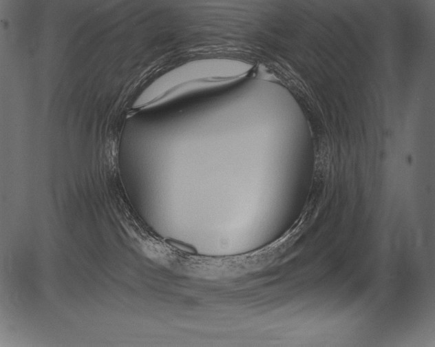 X0000081380045200702020241