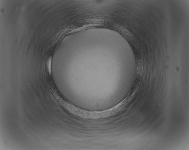 X0000081380047200702020241
