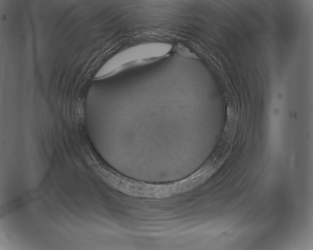 X0000081380048200702020241