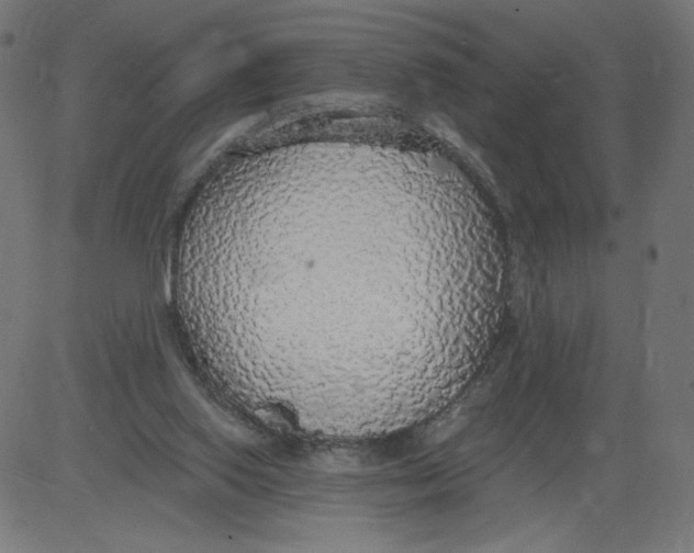 X0000081380062200702020240