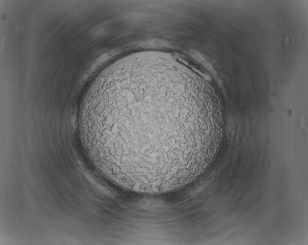 X0000081380063200702020240