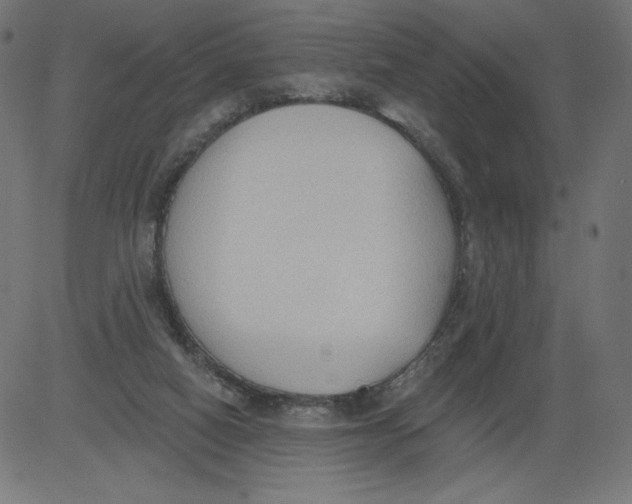 X0000081380066200702020241