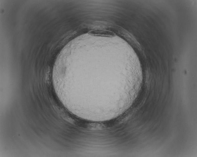 X0000081380073200702020241