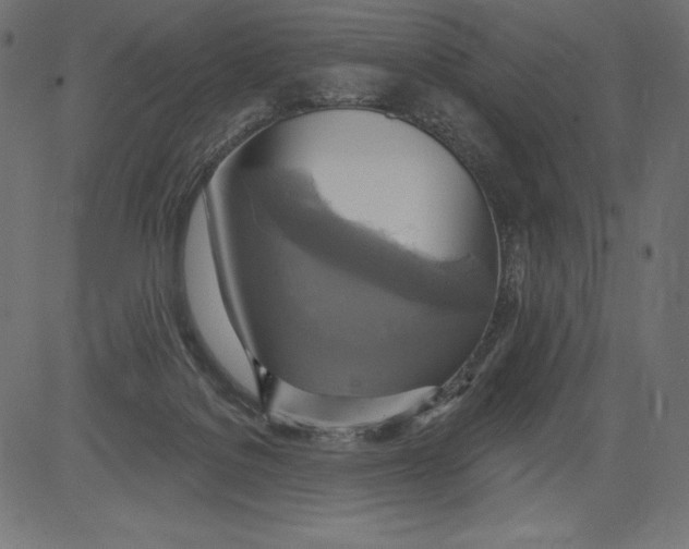 X0000081380076200702020241