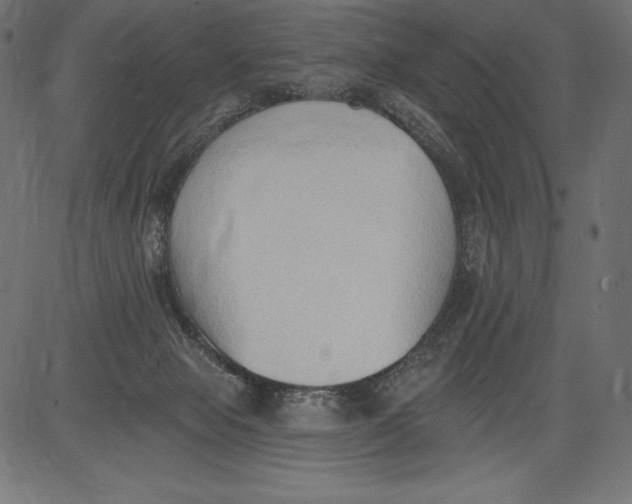 X0000081380077200702020241