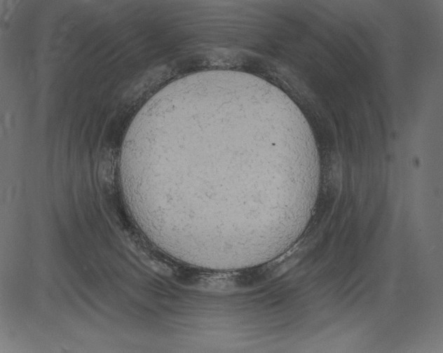 X0000081380078200702020241