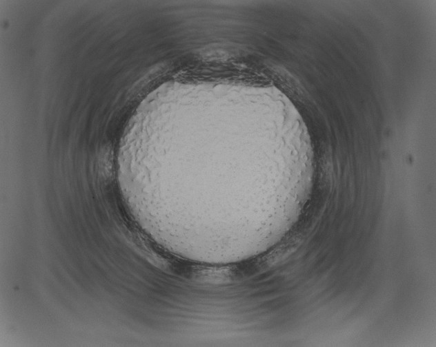 X0000081380081200702020241