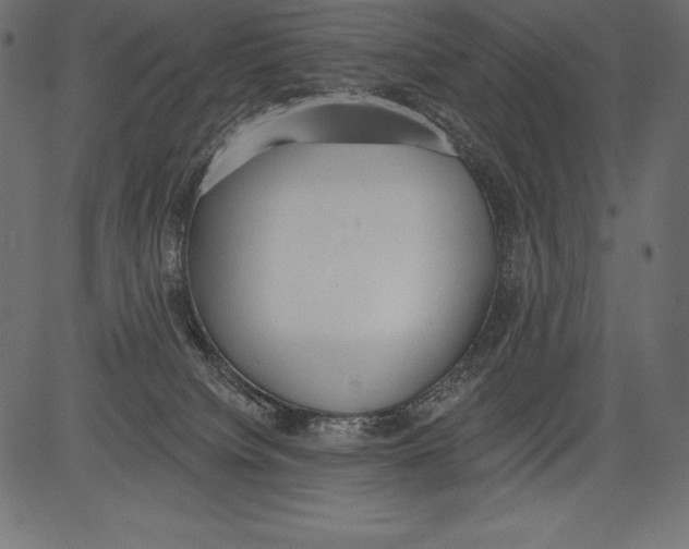 X0000081380084200702020241