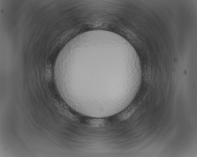 X0000081380085200702020241