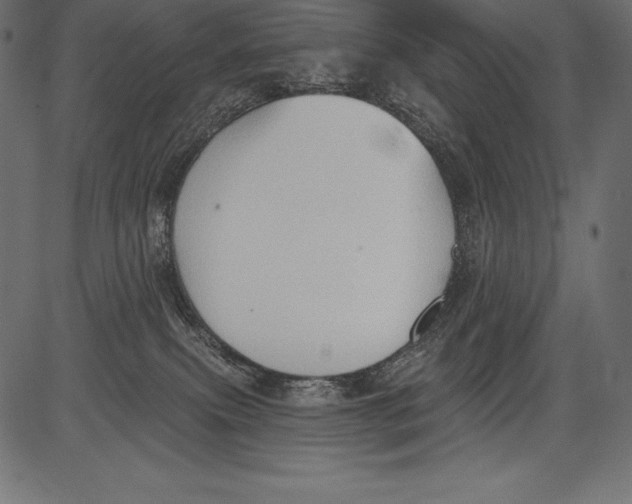 X0000081380087200702020241