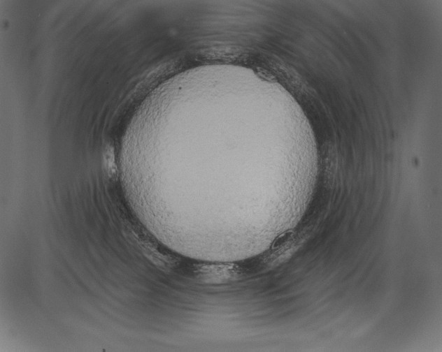 X0000081380089200702020241