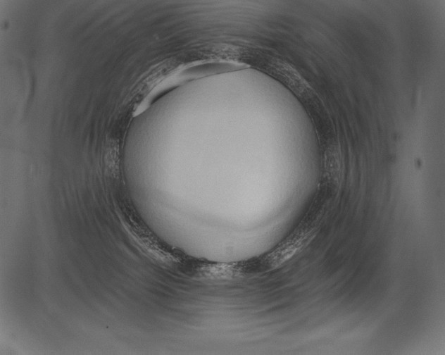 X0000081380092200702020241