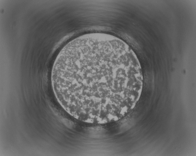 X0000081380112200702020240