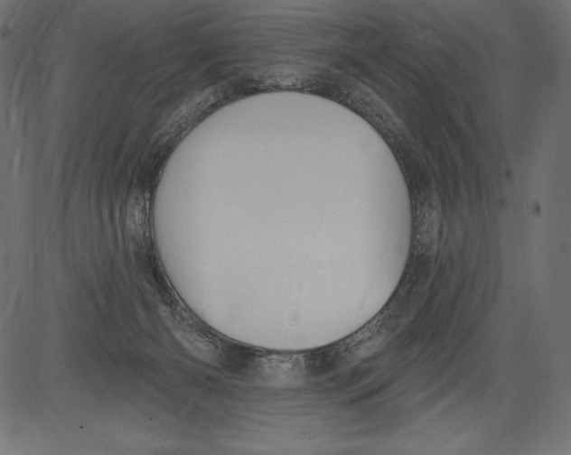 X0000081380126200702020240