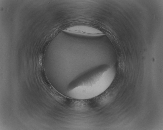 X0000081380127200702020240