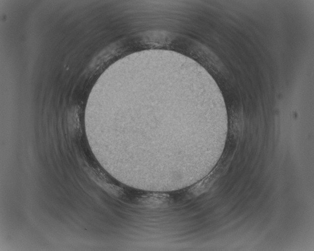 X0000081380128200702020240
