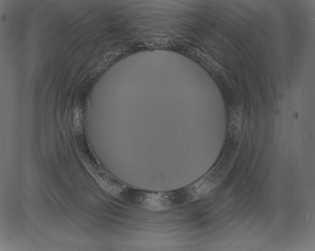 X0000081380130200702020240