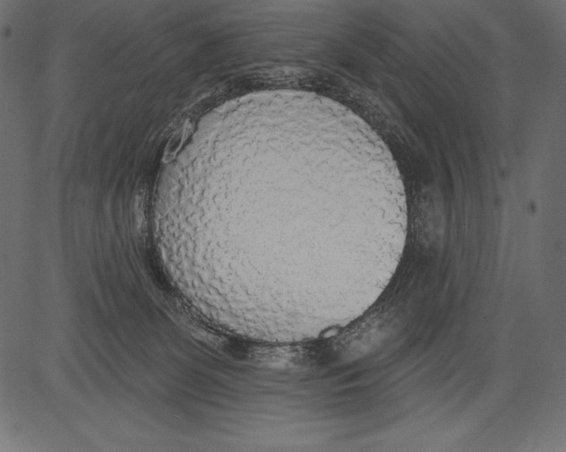 X0000081380131200702020240
