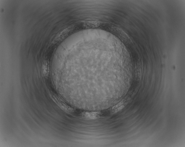 X0000081380134200702020240
