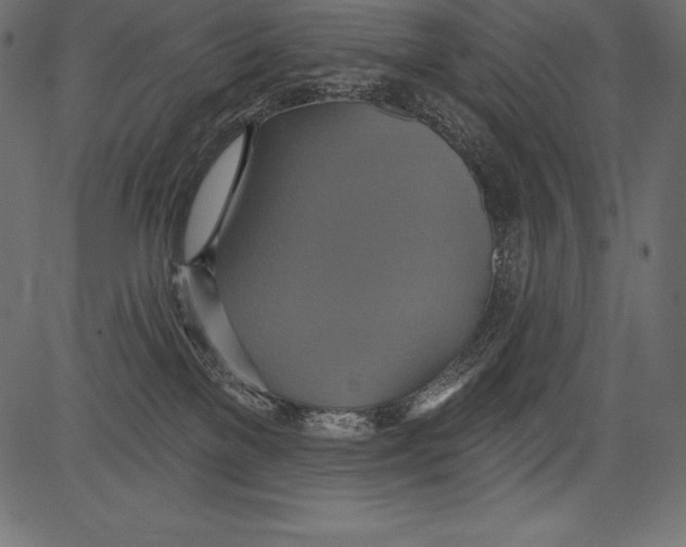 X0000081380137200702020240