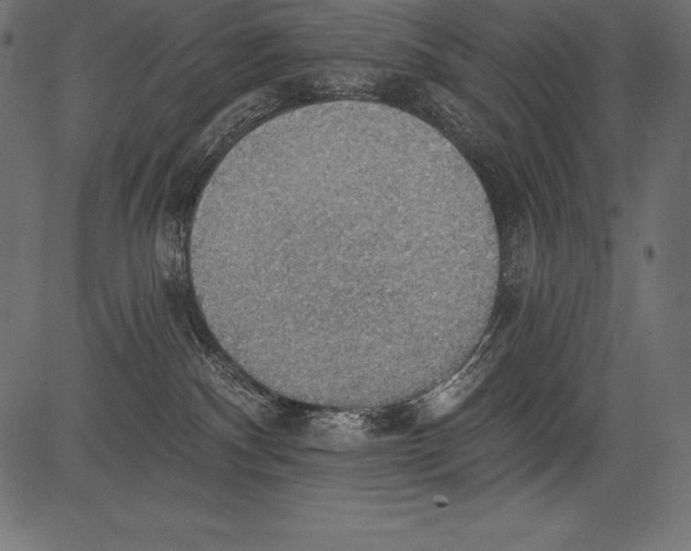 X0000081380140200702020240