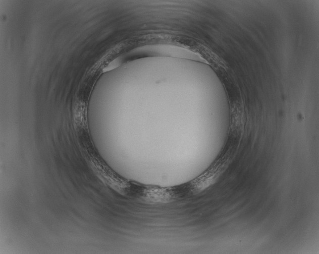 X0000081380141200702020240