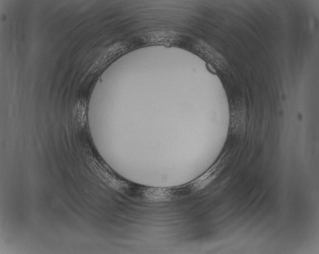 X0000081380142200702020239