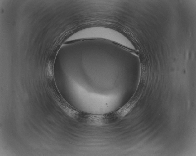 X0000081380143200702020239