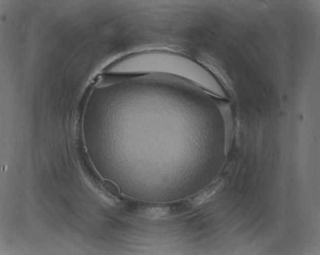 X0000081380156200702020239