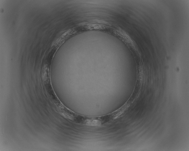 X0000081380169200702020239