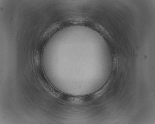 X0000081380170200702020239