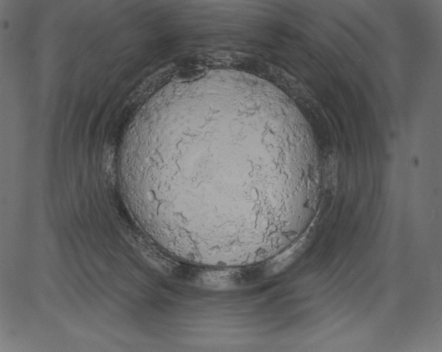 X0000081380178200702020239
