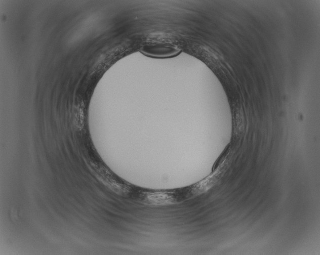 X0000081380183200702020239