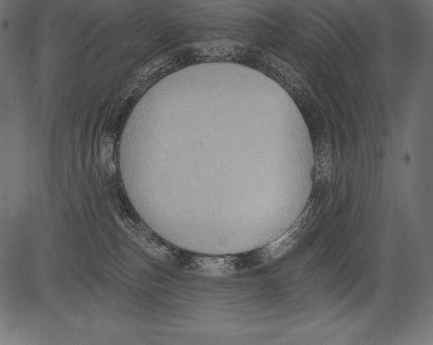 X0000081380187200702020239