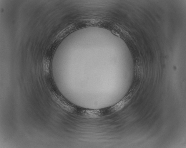 X0000081380188200702020239