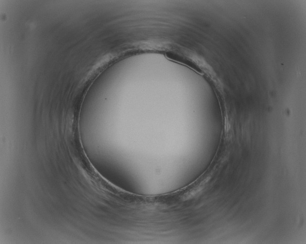 X0000081380201200702020238