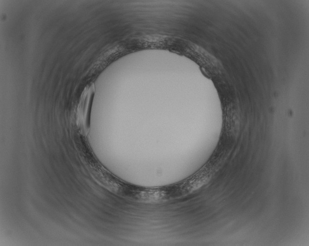X0000081380225200702020238