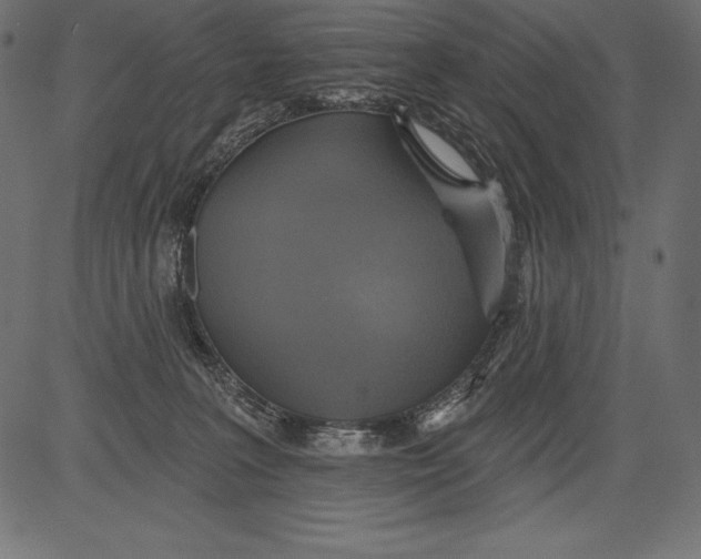 X0000081380227200702020238