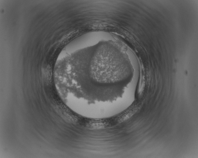 X0000081380228200702020238