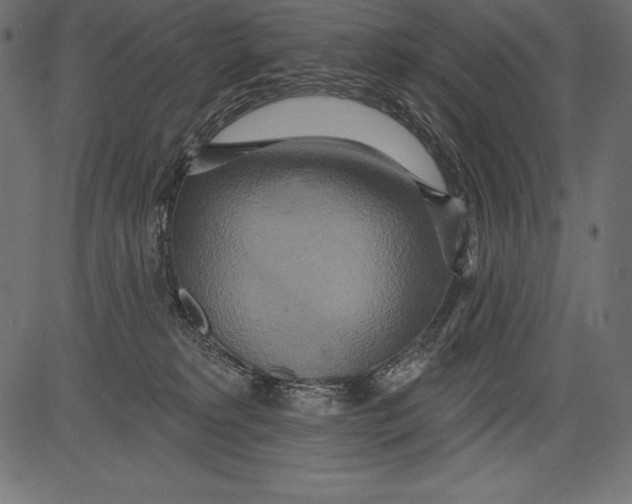 X0000081380229200702020238