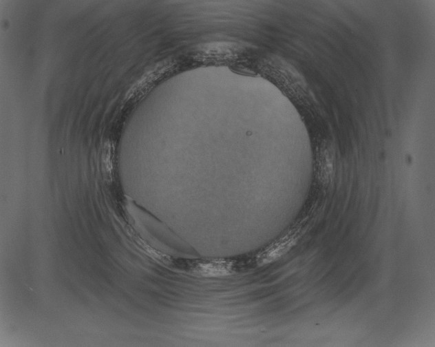 X0000081380232200702020238