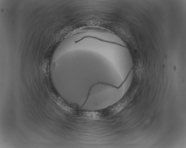 X0000081380233200702020238