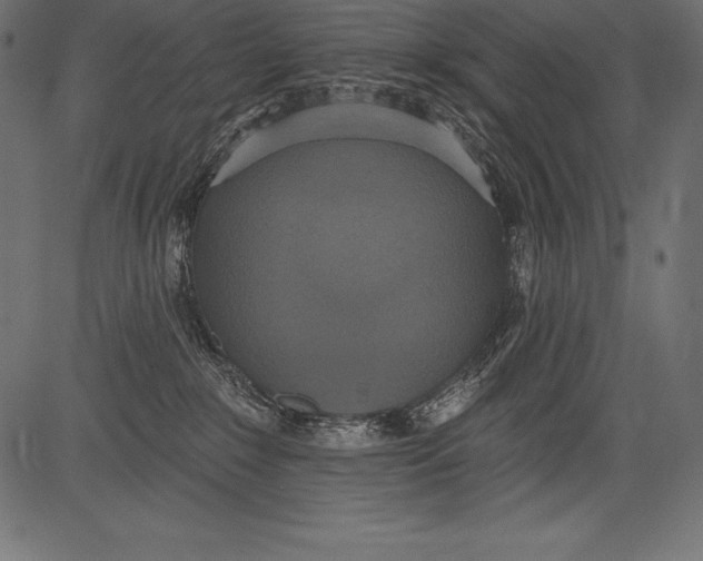 X0000081380235200702020238