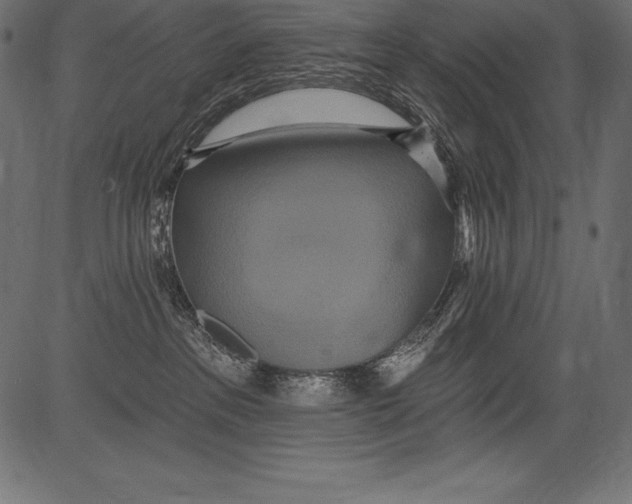 X0000081380237200702020238