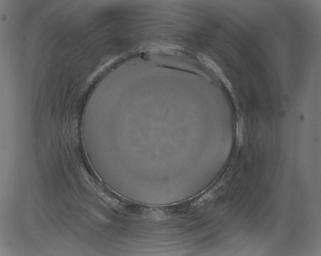 X0000081380249200702020237
