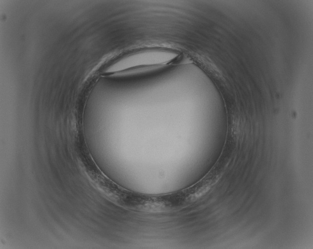 X0000081380256200702020237