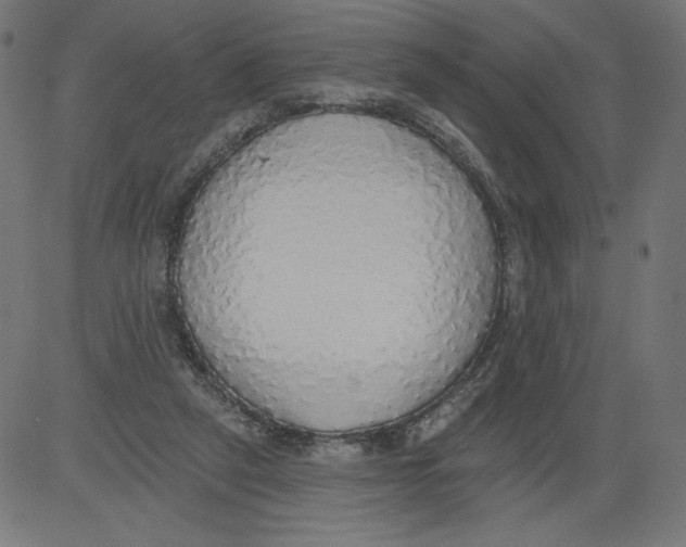 X0000081380257200702020237
