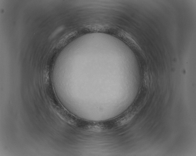 X0000081380259200702020237